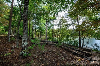 One of the most unique and valuable homesites in Old Wildlife - photo 16