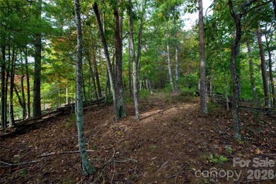 One of the most unique and valuable homesites in Old Wildlife - photo 18