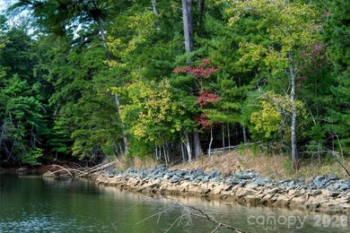 One of the most unique and valuable homesites in Old Wildlife - photo 19