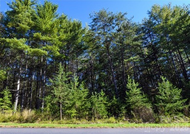 One of the most unique and valuable homesites in Old Wildlife - photo 21