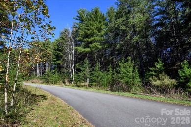 One of the most unique and valuable homesites in Old Wildlife - photo 22