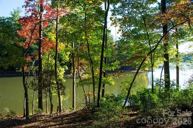 One of the most unique and valuable homesites in Old Wildlife - photo 23