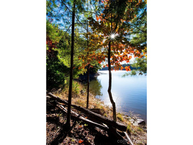 One of the most unique and valuable homesites in Old Wildlife - photo 24