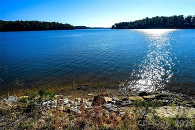 One of the most unique and valuable homesites in Old Wildlife - photo 25