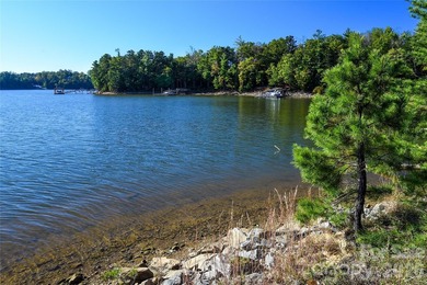 One of the most unique and valuable homesites in Old Wildlife - photo 26