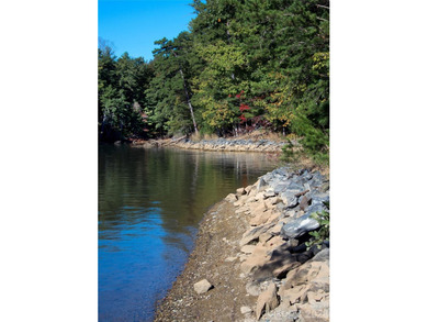 One of the most unique and valuable homesites in Old Wildlife - photo 28