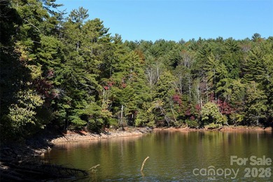 One of the most unique and valuable homesites in Old Wildlife - photo 29