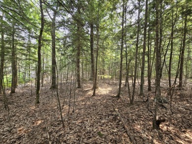 Pushaw Lake Lot For Sale in Orono Maine