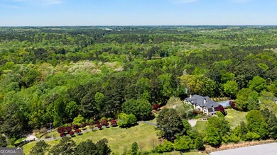 This European estate is located on 4.77+/- gated acres in Tyrone - photo 1