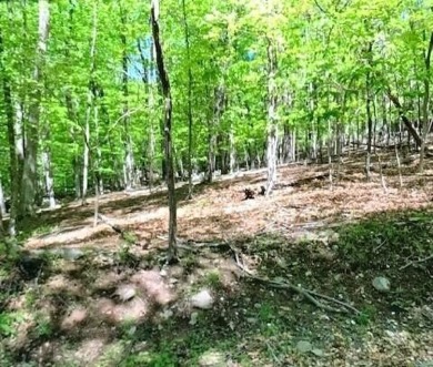 Lake Lot For Sale in East Stroudsburg, Pennsylvania