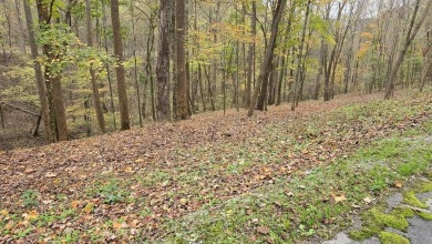 Lake Lot For Sale in Smithville, Tennessee