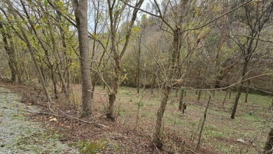 Lake Lot For Sale in Smithville, Tennessee