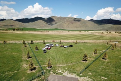 (private lake, pond, creek) Lot For Sale in Picabo Idaho