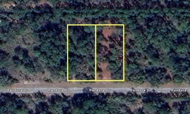 Lake Weohyakapka (Lake Walk-In-Water) Lot For Sale in Indian Lake Estates Florida