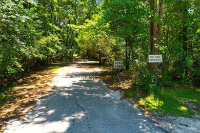Vacant residential lot on Johns Island, SC offering flexibility - photo 1