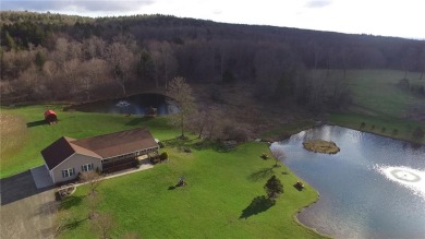 Lake Home Off Market in South Plymouth, New York