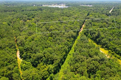Vacant residential lot on Johns Island, SC offering flexibility - photo 2