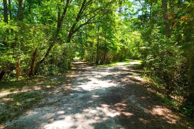 Vacant residential lot on Johns Island, SC offering flexibility - photo 3