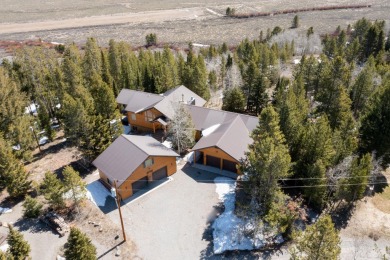 Lake Home For Sale in Sawtooth City, Idaho