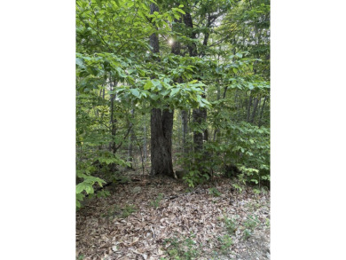 Lake Lot For Sale in Naples, Maine