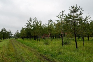 Luxury Live Auction! Bidding to start from $10,000,000.00! Prime - photo 28