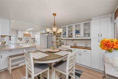 OWN THE LAND in one of Palm Harbor's most desirable 55+ - photo 10