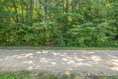 Lake Lot For Sale in Holton, Michigan