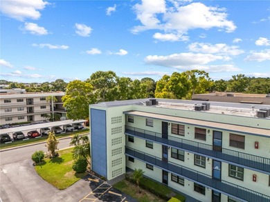 Private 1st-floor corner condo offering 2 bedrooms, 2 bathrooms - photo 50