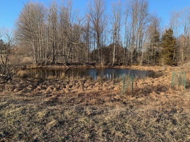 (private lake, pond, creek) Acreage For Sale in Bear Lake Michigan