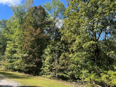 Indian Lake Lot For Sale in Cedar Grove Tennessee