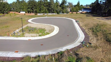 Welcome to THE LAKES, a brand-new gated community offering 15 - photo 9