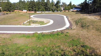 Welcome to THE LAKES, a brand-new gated community offering 15 - photo 10