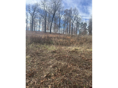 Norfork Lake Lot For Sale in Mountain Home Arkansas