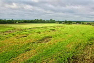 Rural Oklahoma Charm, Wide-open spaces and lake views come with - photo 10