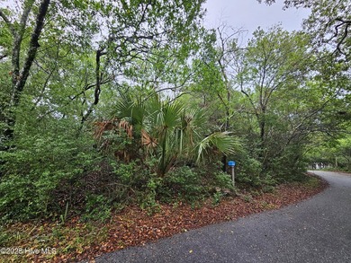 Exceptional Cape Fear Station Homesite Opportunity on Bald Head - photo 1