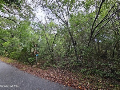 Exceptional Cape Fear Station Homesite Opportunity on Bald Head - photo 2