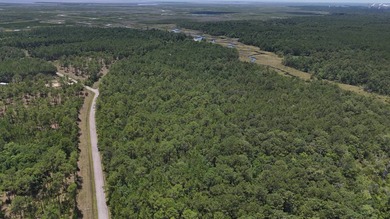 Here is a rare opportunity to own property in John's Bayou - photo 6
