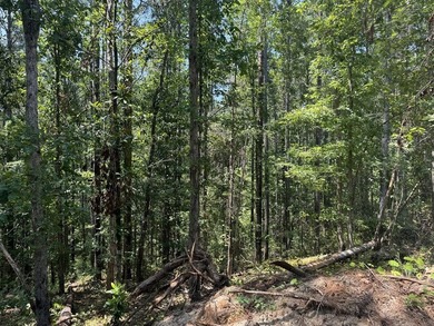 Nestled in the heart of South Mississippi, this 296-acre - photo 11