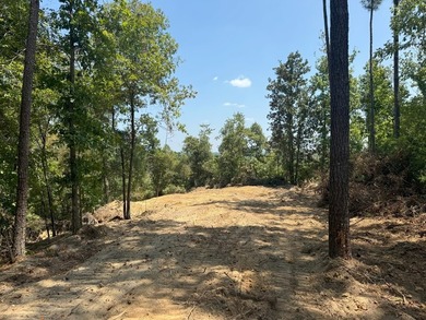 Nestled in the heart of South Mississippi, this 296-acre - photo 12