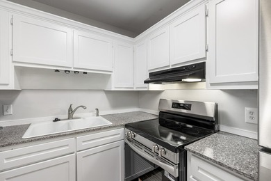 Owner Financing available with 30% Down; 4% interest Rate - photo 13