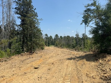 Nestled in the heart of South Mississippi, this 296-acre - photo 13