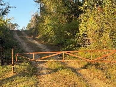 Nestled in the heart of South Mississippi, this 296-acre - photo 14