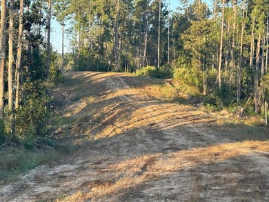 Nestled in the heart of South Mississippi, this 296-acre - photo 15
