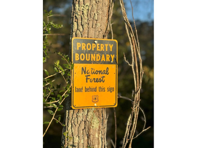 Nestled in the heart of South Mississippi, this 296-acre - photo 16