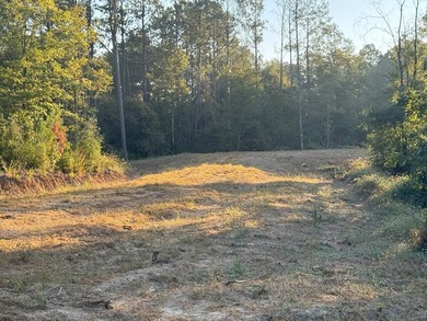 Nestled in the heart of South Mississippi, this 296-acre - photo 17