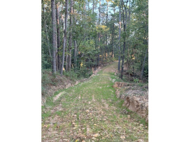 Nestled in the heart of South Mississippi, this 296-acre - photo 18