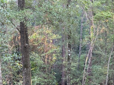 Nestled in the heart of South Mississippi, this 296-acre - photo 19