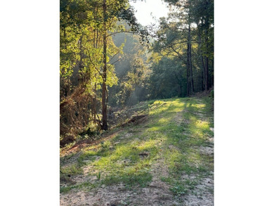 Nestled in the heart of South Mississippi, this 296-acre - photo 20