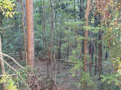 Nestled in the heart of South Mississippi, this 296-acre - photo 21