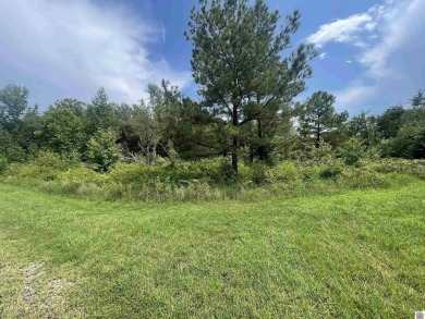 Lake Lot For Sale in Murray, Kentucky